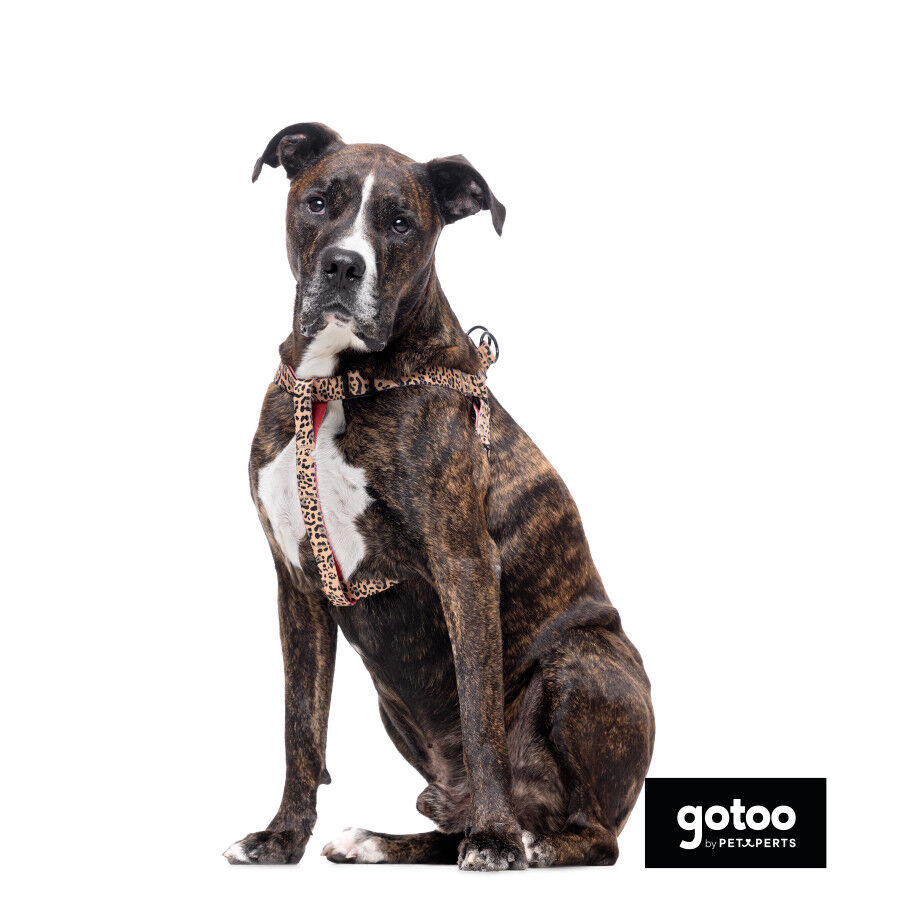 Gotoo Peitoral estampado leopardo castanha para c&atilde;es, , large Imagem n&uacute;mero 6