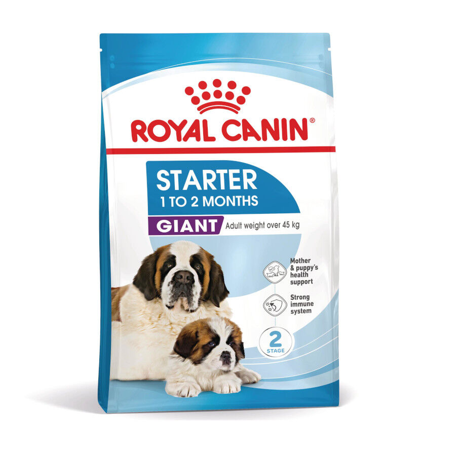 15 kg Royal Canin Starter Puppy Giant Ra&ccedil;&atilde;o para cachorro, , large Imagem n&uacute;mero 2