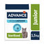 Advance Junior Sterilized pienso para gatos1 Indicador imagem número 2