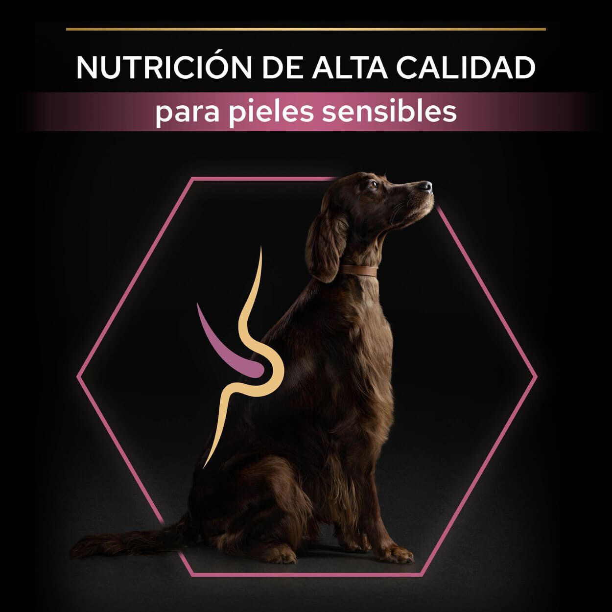 14 kg Pro Plan Large Athletic Adult Salm&atilde;o Peles Sens&iacute;veis ra&ccedil;&atilde;o para c&atilde;es, , large Imagem n&uacute;mero 8