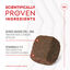 Royal Canin Joint & Aging Chews Suplemento Nutricional para cães com sensibilidade articular, , large Indicador imagem número 6