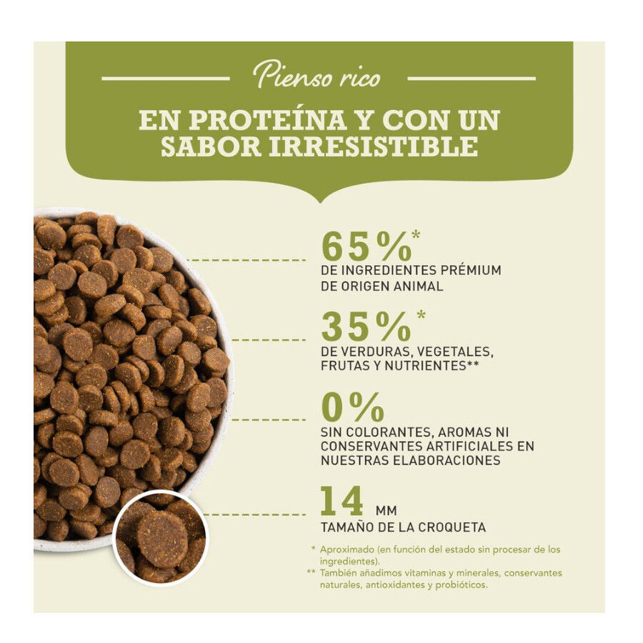 11.4 kg Acana Adult Light y Fit ra&ccedil;&atilde;o para c&atilde;es, , large Imagem n&uacute;mero 6