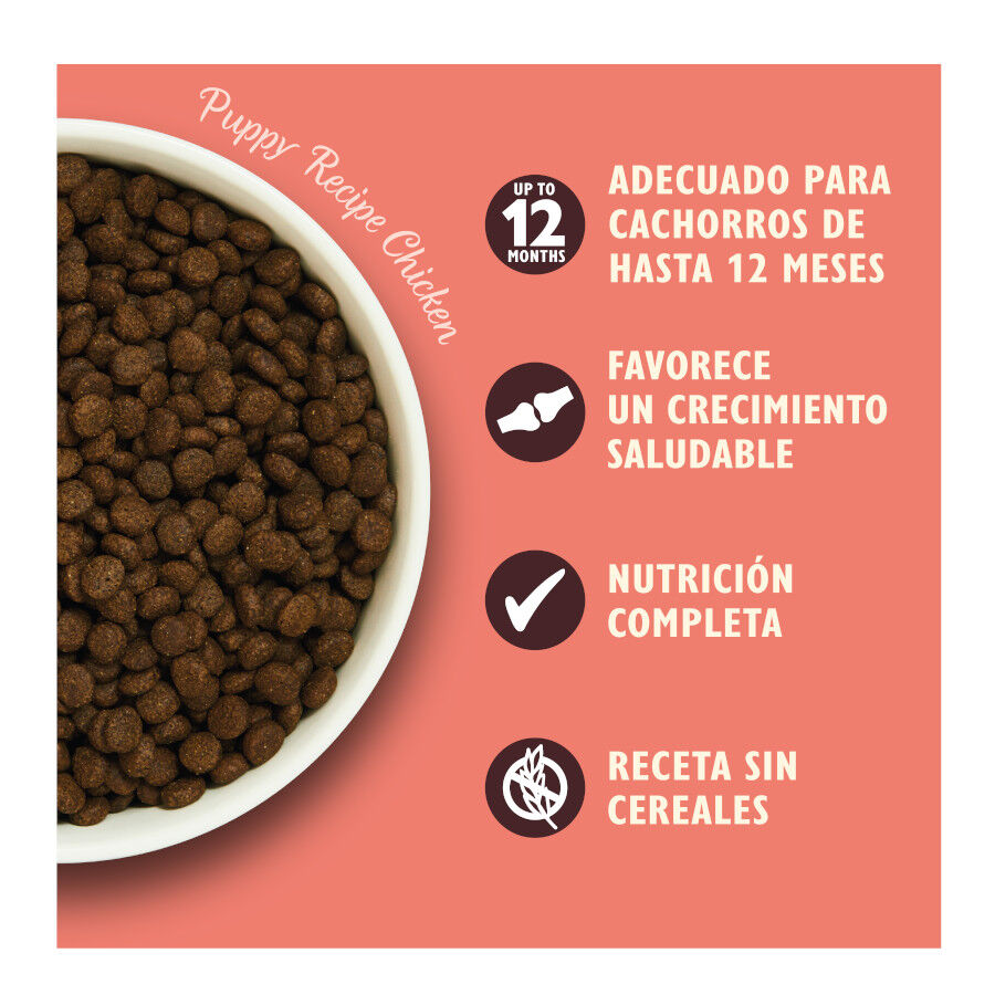 2.5 kg Lily's Kitchen Puppy Frango e Salm&atilde;o ra&ccedil;&atilde;o para c&atilde;es, , large Imagem n&uacute;mero 3