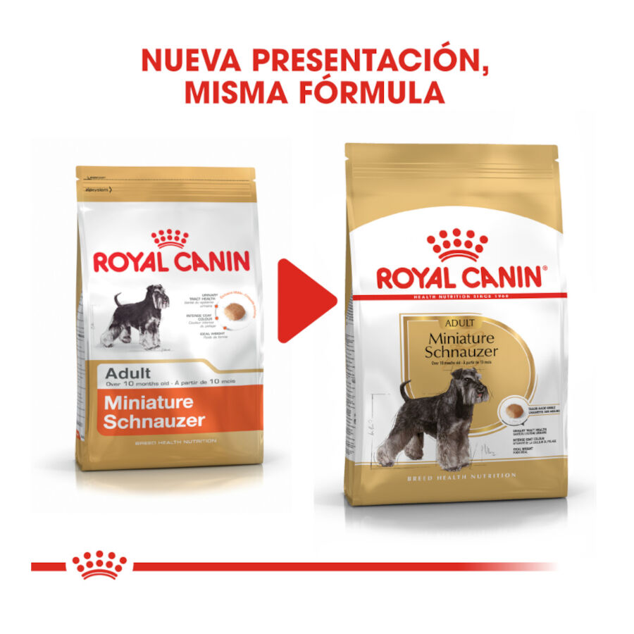 7.5 kg Royal Canin Adult Miniature Schnauzer Ra&ccedil;&atilde;o para c&atilde;es, , large Imagem n&uacute;mero 3