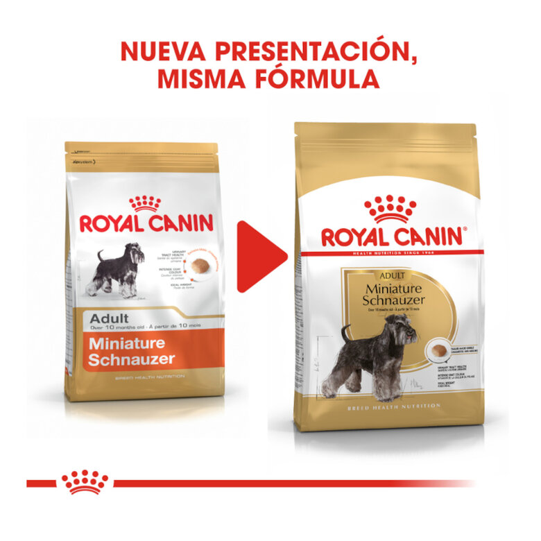 7.5 kg Royal Canin Adult Miniature Schnauzer Ração para cães,  Imagem número 3 7.5 kg Royal Canin Adult Miniature Schnauzer Ração para cães, , large Imagem número 3