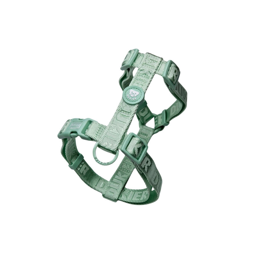 Dukier Arn&ecirc;s Cl&aacute;ssico Cor verde para c&atilde;es, , large Imagem n&uacute;mero 1