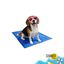 Summer Vibes Manta Refrescante Azul para c&atilde;es, , large Indicador imagem n&uacute;mero 6