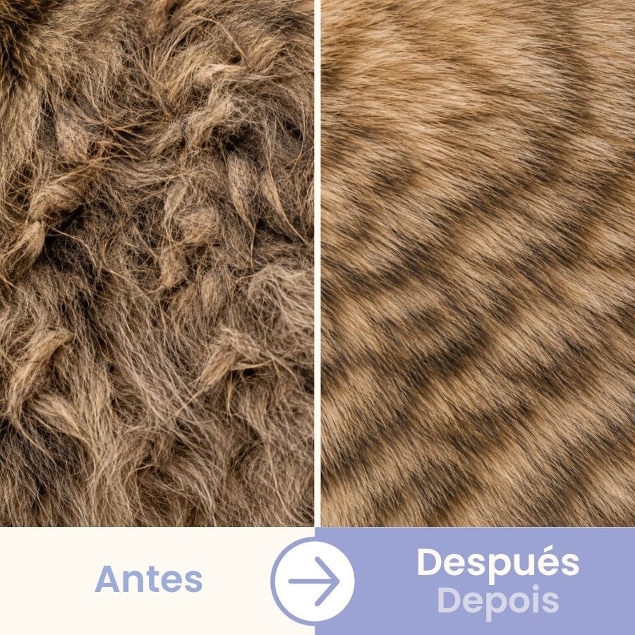 Bloob Pente antipulgas para gatos, , large Imagem n&uacute;mero 5