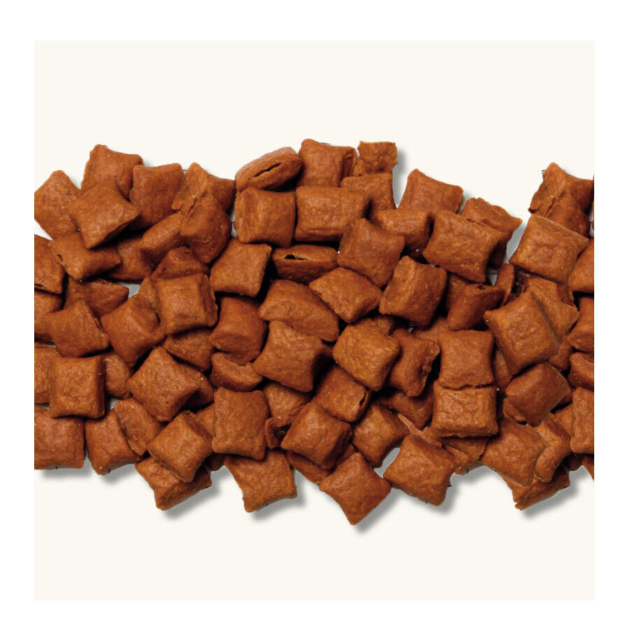 35 g Beaphar Bocaditos Salm&atilde;o para gatos, , large Imagem n&uacute;mero 2