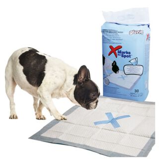 Gloria Pack 30 Resguardos Absorventes para cães