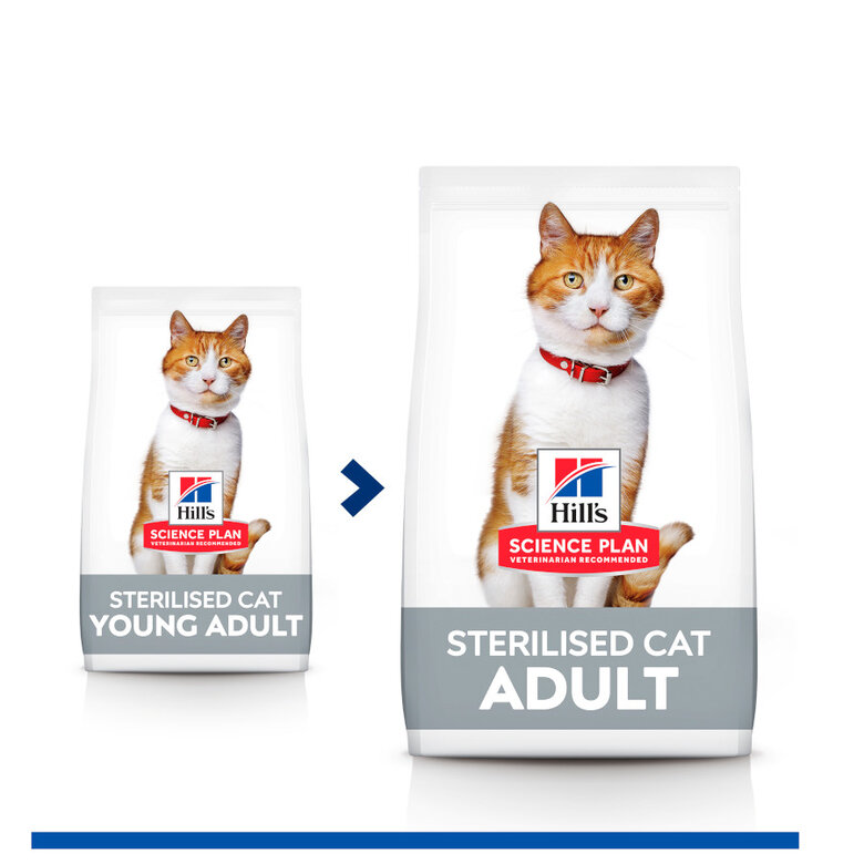 Hill's Young Adult Science Plan Sterilised Frango ração para gatos, , large image number null