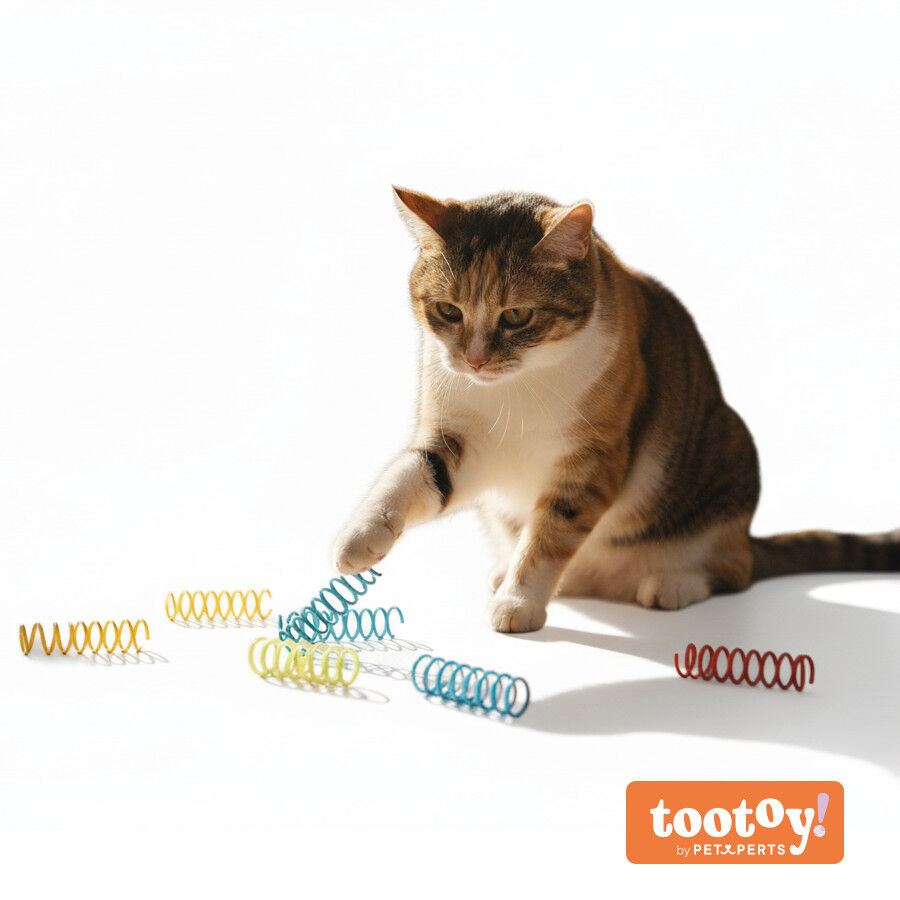 Tootoy! Chase & Play Brinquedo interativo de molas para gatos, , large Imagem n&uacute;mero 9