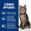 1.5 kg Hill's Prescription Diet Metabolic Atum ração para gatos, , large Indicador imagem número 5