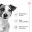 195 g Royal Canin Mini Adult Patâ em lata para cães, , large Indicador imagem número 3