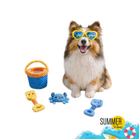 Summer Vibes Beach Set x4 Kit de Brinquedos para c&atilde;es