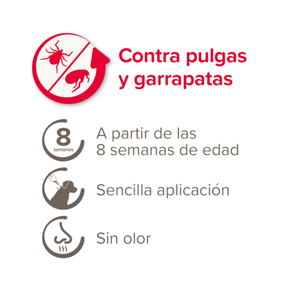 Beaphar FiproTec Pipetas Antiparasit&aacute;rias para c&atilde;es de ra&ccedil;a pequena, , large Imagem n&uacute;mero 4