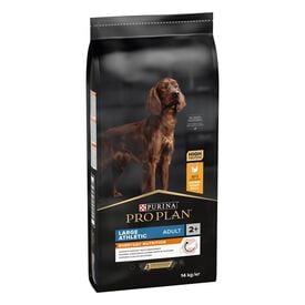 Pro Plan Large Athletic Adult Frango ração para cães