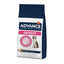 12 kg Advance Veterinary Diets Urinary ração para cães, , large Indicador imagem número 1