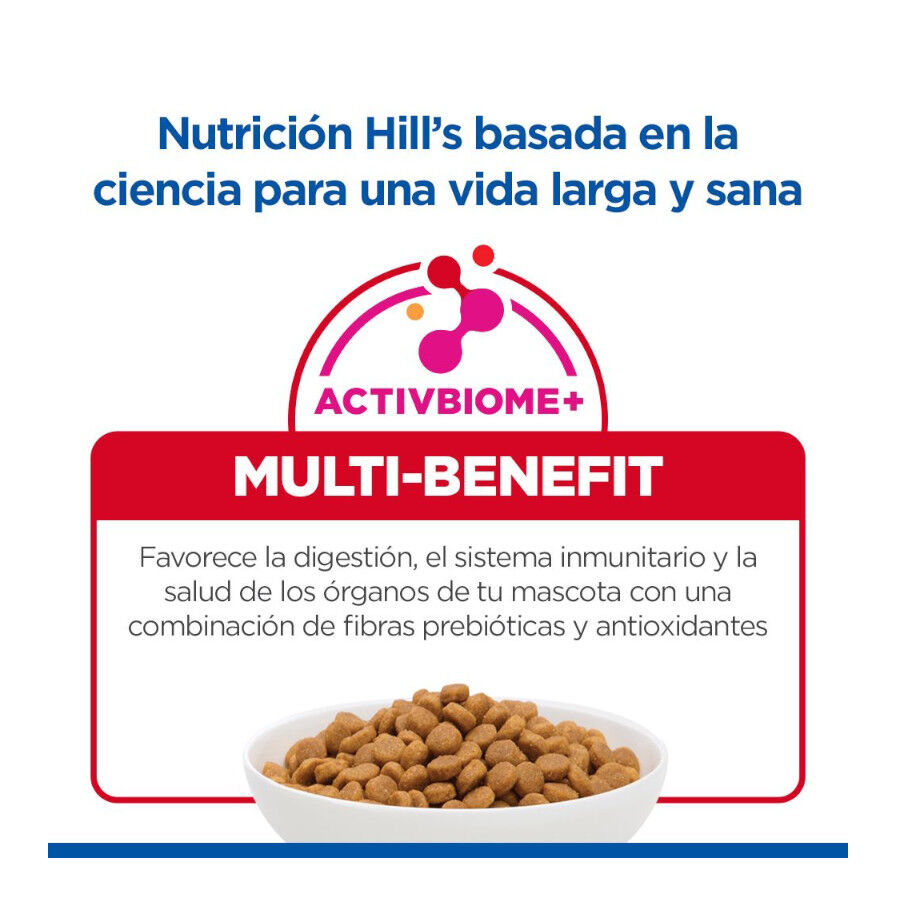 2 x 14 kg Hill's Science Plan Adult Medium Frango ra&ccedil;&atilde;o para c&atilde;es Pack poupan&ccedil;a!, , large Imagem n&uacute;mero 7