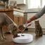 Leeby Colher Digital Medidora de Ra&ccedil;&atilde;o para c&atilde;es e gatos, , large Indicador imagem n&uacute;mero 1