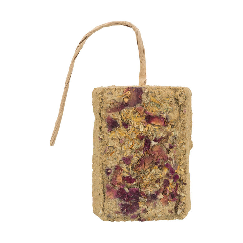 100 g Trixie Pedra de Argila com Flores suplemento para roedores,  Imagem número 3 100 g Trixie Pedra de Argila com Flores suplemento para roedores, , large Imagem número 3