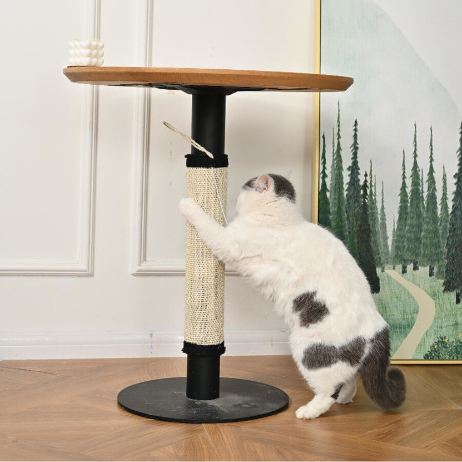 Leeby Tito arranhador para p&eacute; de mesa com brinquedo para gatos, , large Imagem n&uacute;mero 7