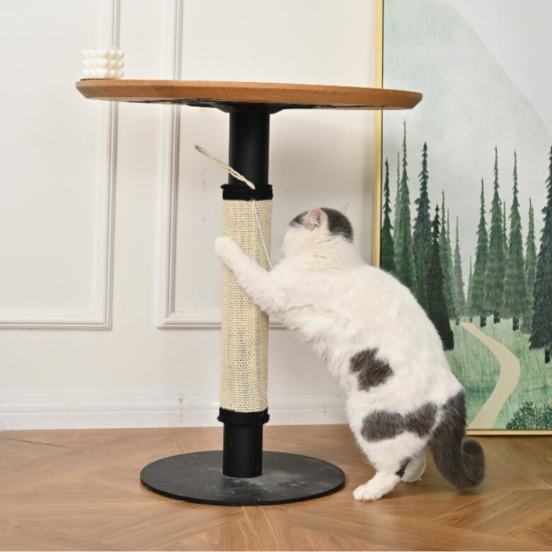 Leeby Tito arranhador para pé de mesa com brinquedo para gatos,  Imagem número 7 Leeby Tito arranhador para pé de mesa com brinquedo para gatos, , large Imagem número 7