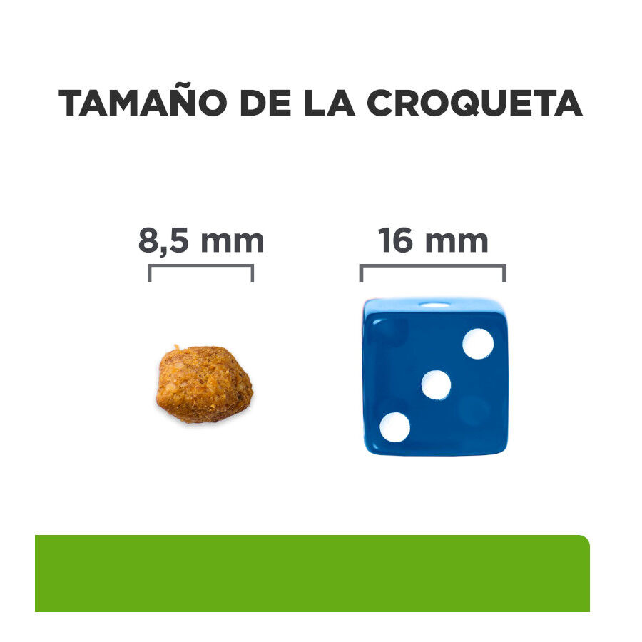 1.5 kg Hill's Prescription Diet Metabolic Atum ra&ccedil;&atilde;o para gatos, , large Imagem n&uacute;mero 6