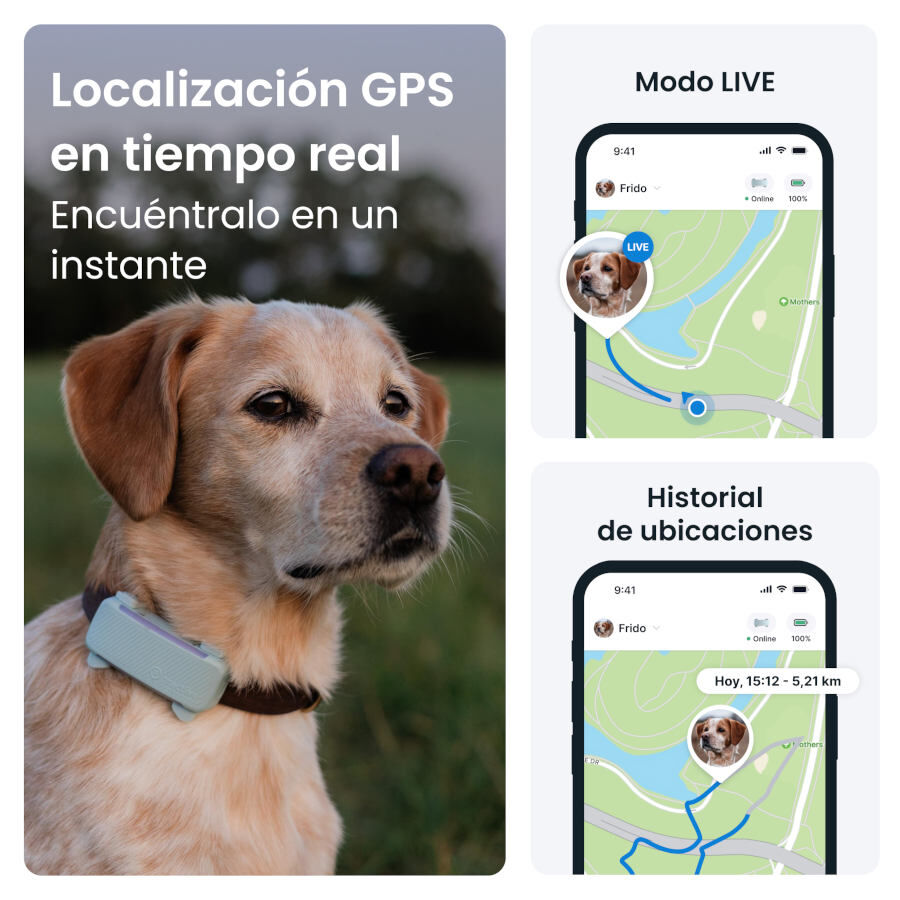 Tractive GPS Dog 6 Rastreador Mint de c&atilde;es , , large Imagem n&uacute;mero 8