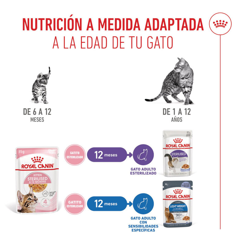 85 g Royal Canin Kitten Sterilised Saquetas de Gelatina para gatinhos,  Imagem número 6 85 g Royal Canin Kitten Sterilised Saquetas de Gelatina para gatinhos, , large Imagem número 6