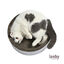 Leeby Domingo cama arranhador de cartão vichy para gatos, , large Indicador imagem número 2