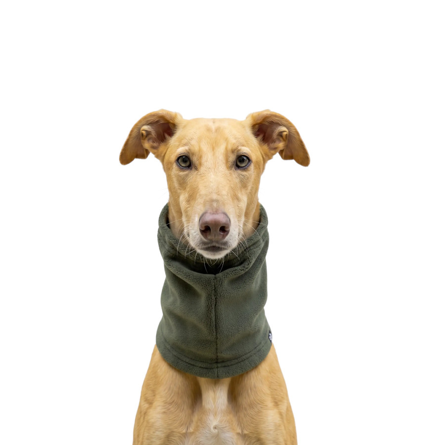 Gotoo Cachecol Polar Verde para c&atilde;es, , large Imagem n&uacute;mero 7