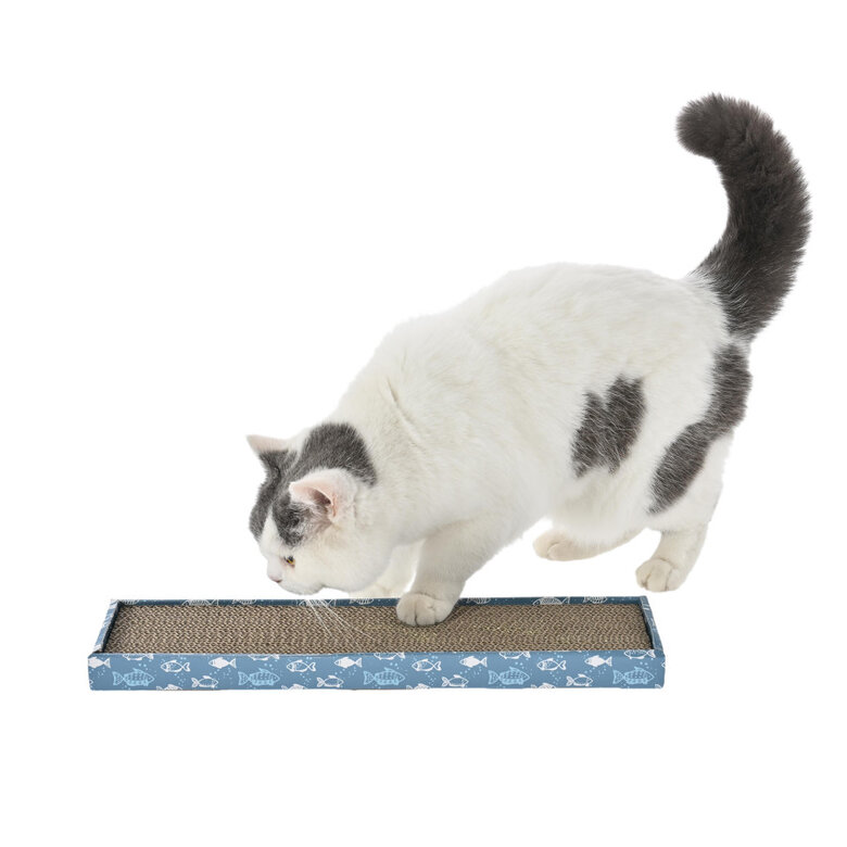 Leeby Fitz tábua arranhadora de cartão azul para gatos,  Imagem número 8 Leeby Fitz tábua arranhadora de cartão azul para gatos, , large Imagem número 8