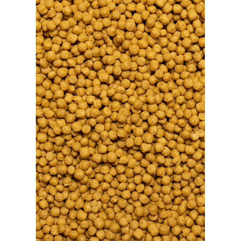 Psittacus Mini ração para pássaros pequenos,  Imagem número 2 Psittacus Mini ração para pássaros pequenos, , large Imagem número 2