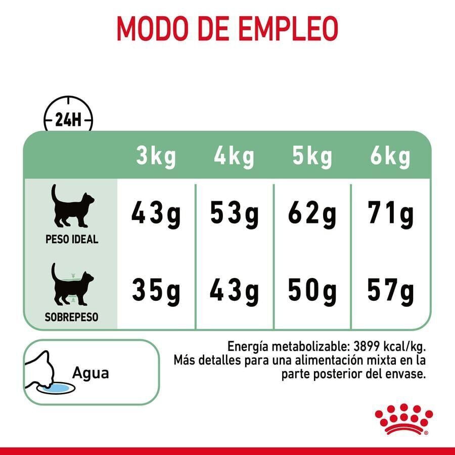 10 kg Royal Canin Adult Digestive ra&ccedil;&atilde;o para gatos, , large Imagem n&uacute;mero 6