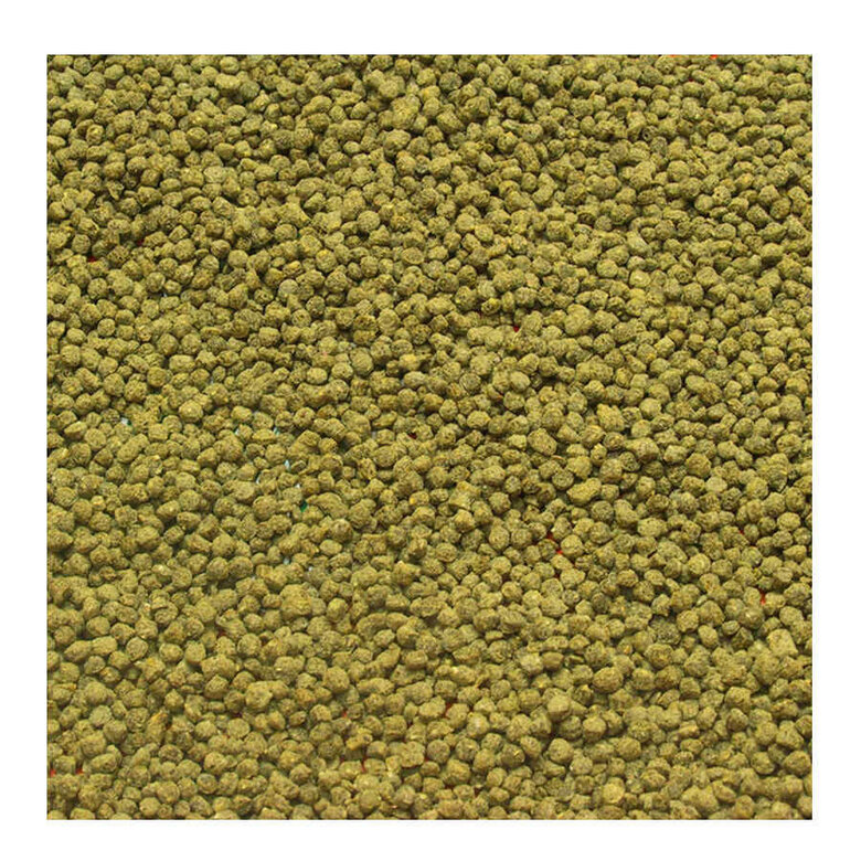 JBL Novopearl Pérolas para peixes vermelhos,  Imagem número 2 JBL Novopearl Pérolas para peixes vermelhos, , large Imagem número 2