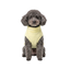 Gotoo Camisola Polar Amarela para c&atilde;es, , large Indicador imagem n&uacute;mero 7