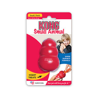 Kong Small Animal brinquedo para furões