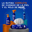 Ceva Douxo Spa 2 em 1 Shampoo Detangler Cão, , large Indicador imagem número 6