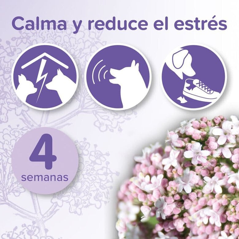 Beaphar No-Stress Difusor e Recarga Anti Stress para cães,  Imagem número 2 Beaphar No-Stress Difusor e Recarga Anti Stress para cães, , large Imagem número 2