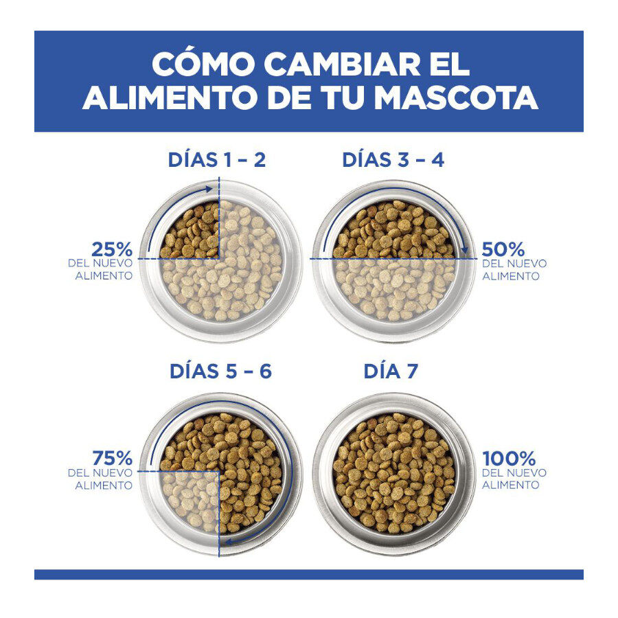 Hill's Science Plan Hipoalerg&eacute;nico Small e Mini Salm&atilde;o ra&ccedil;&atilde;o para c&atilde;es , , large Imagem n&uacute;mero 7