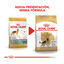11 kg Royal Canin Adult Pastor Alemão ração para cães, , large Indicador imagem número 3