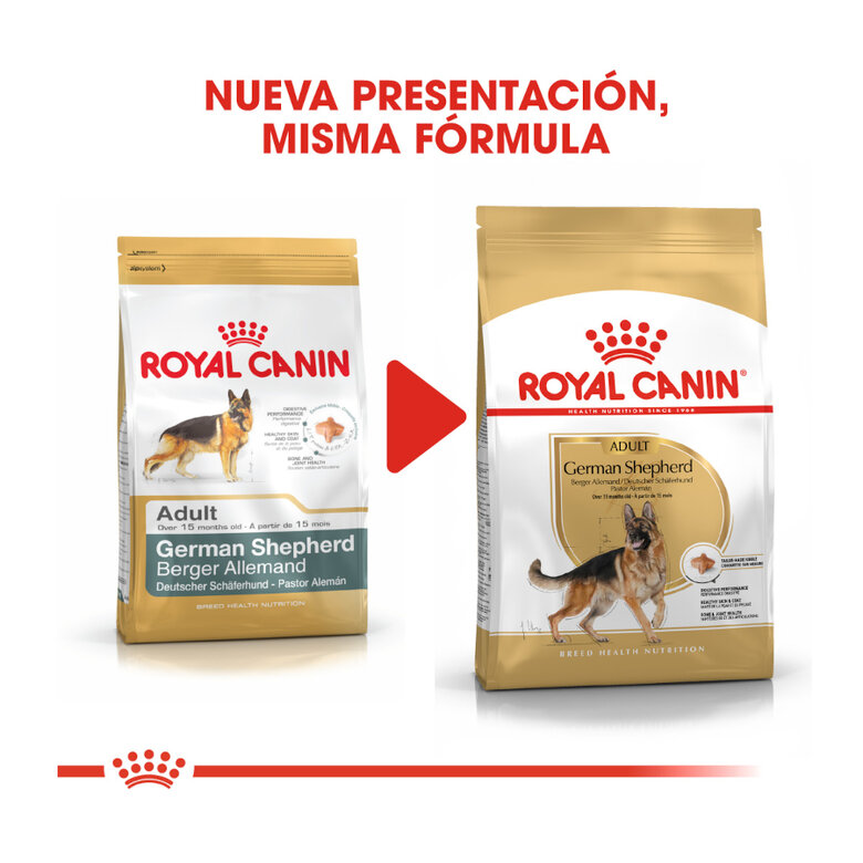 Royal Canin Adult Pastor Alemão ração para cães, , large image number null