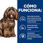 12 kg Hill's Prescription Diet Ageing and Alertness Care b/d Ração para cães com frango, , large Indicador imagem número 5