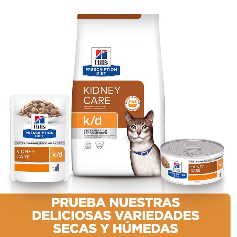 Hill's Prescription Diet Kidney Care Frango ração para gatos, , large image number null