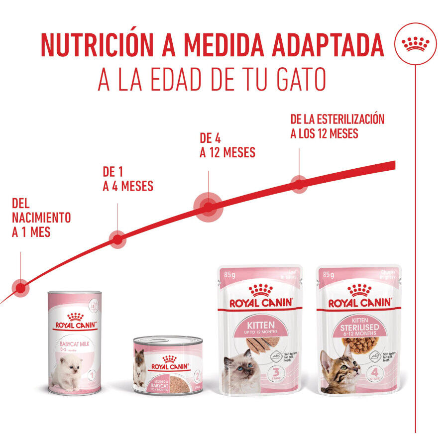 85 g Royal Canin Kitten pat&ecirc; em saquetas para gatos, , large Imagem n&uacute;mero 6