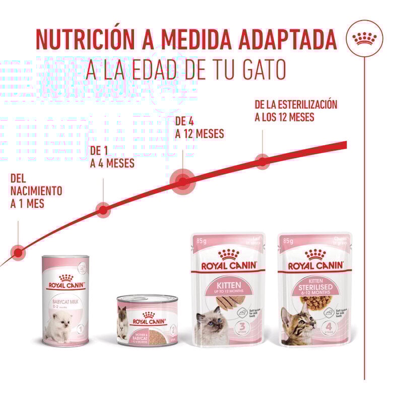 85 g Royal Canin Kitten patê em saquetas para gatos,  Imagem número 6 85 g Royal Canin Kitten patê em saquetas para gatos, , large Imagem número 6