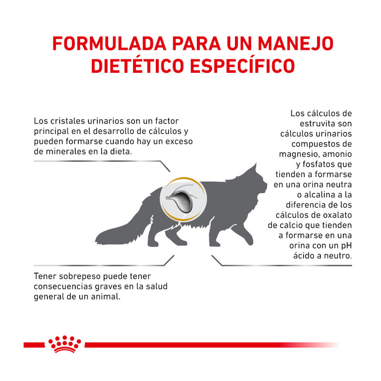 24 saquetas x 85 g Royal Canin Veterinary Urinary Moderate Calorie ração para gatos Pack poupança!,  Imagem número 6 24 saquetas x 85 g Royal Canin Veterinary Urinary Moderate Calorie ração para gatos Pack poupança!, , large Imagem número 6