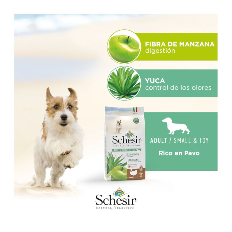 2.24 kg Schesir Adult Small & Toy Natural Selection Ra&ccedil;&atilde;o de peru para c&atilde;es, , large Imagem n&uacute;mero 6