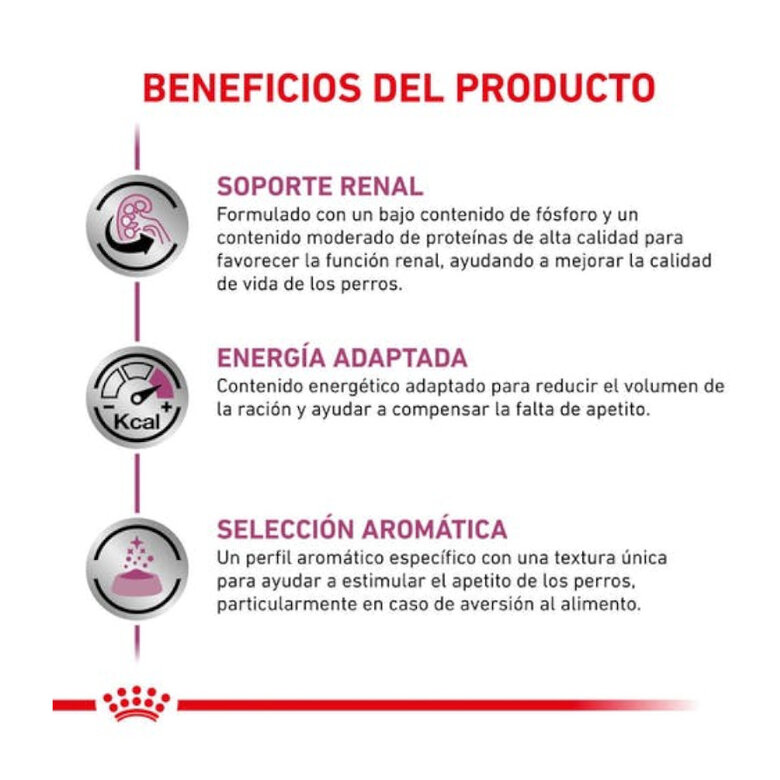 Royal Canin Veterinary Renal Special latas para gatos - Pack 12   , , large image number null
